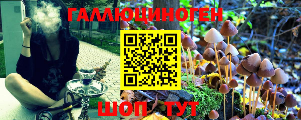 Псилоцибиновые грибы Psilocybe Избербаш