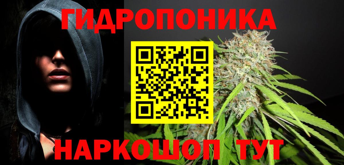 Бошки марихуана Bruce Banner  Каннабис план  Избербаш  Вход с VPN 